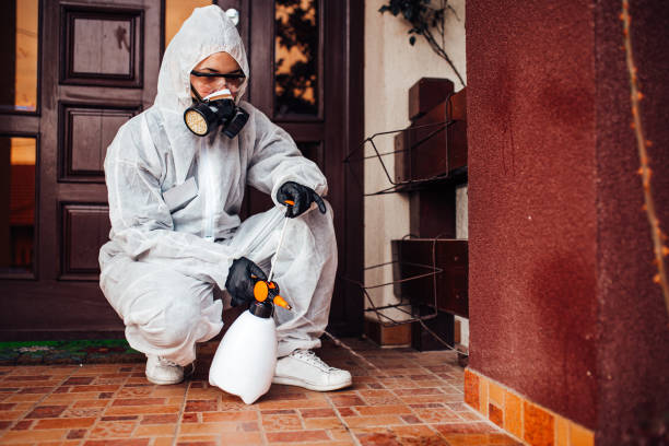 Reliable Wasp Removal contractor in Warrior, AL by Show Me Pest Control