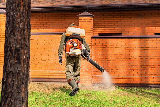 Top rated local Wasp Removal specialists in Warrior, AL